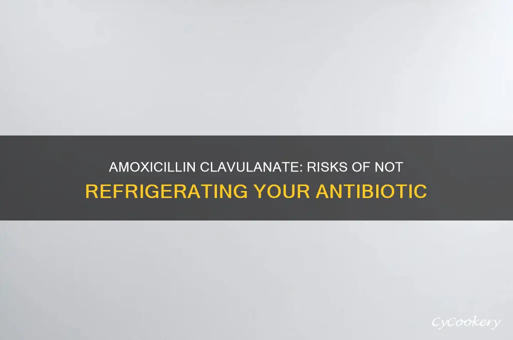 what if amoxicillin clavulanate is not refrigerated