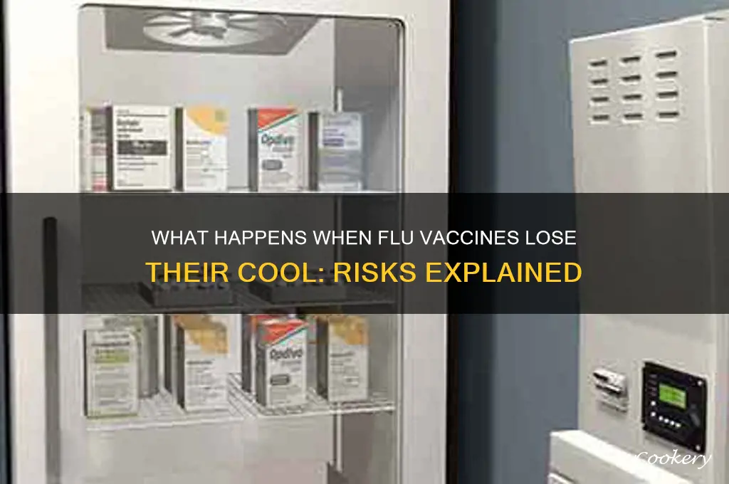 what if flu vaccine is not refrigerated
