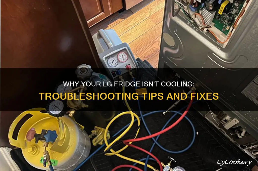 what if my lg refrigerator isnt cooling