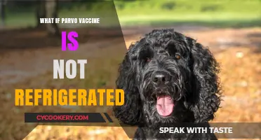 Parvo Vaccine Storage Mistake: Risks of Unrefrigerated Vaccines Explained