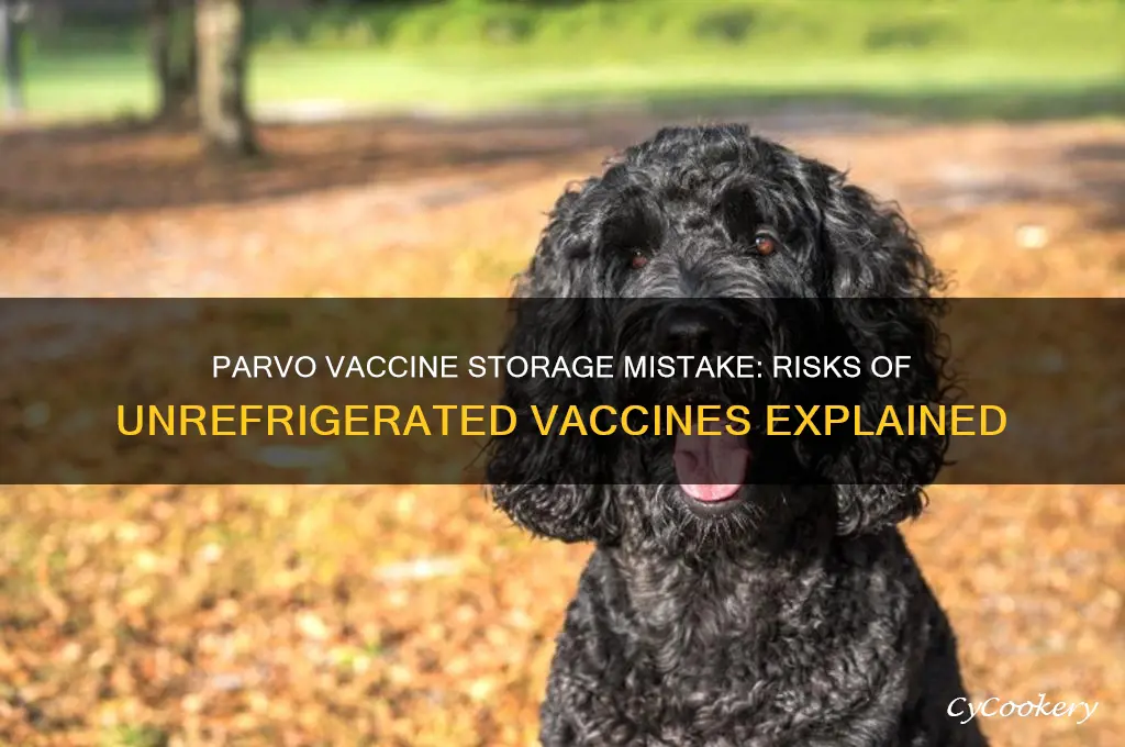 what if parvo vaccine is not refrigerated