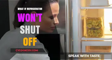 Refrigerator Won't Shut Off? Troubleshooting Tips and Solutions