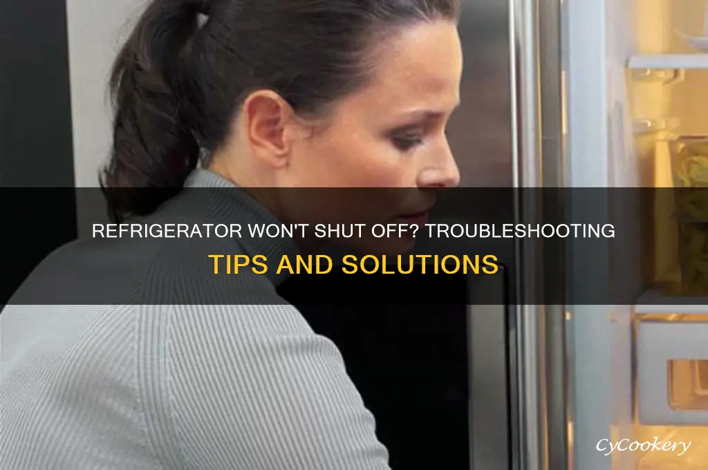 what if refrigerator won