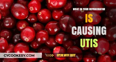 UTI Culprits in Your Fridge: Foods to Avoid for Bladder Health