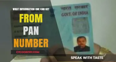 PAN Card Insights: Unlocking Personal Data