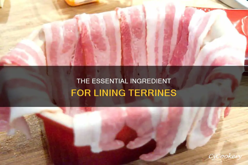 what ingredient is commonly used to line terrines