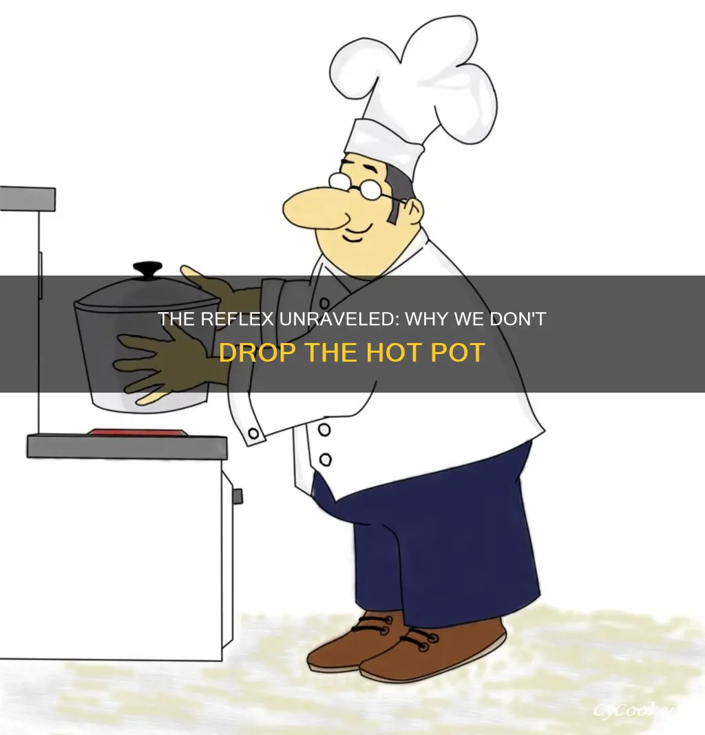 what inhibits reflex of dropping hot pot