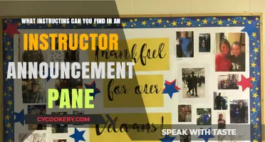 Instructor Announcements: Tips, Tricks, and Instructions