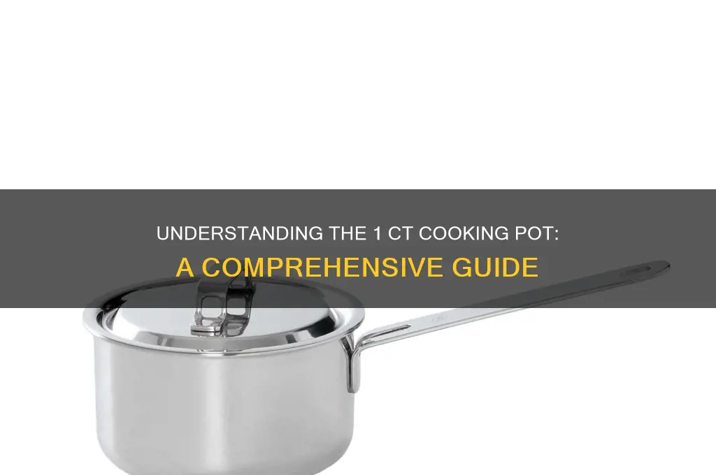 what is a 1 ct cooking pot