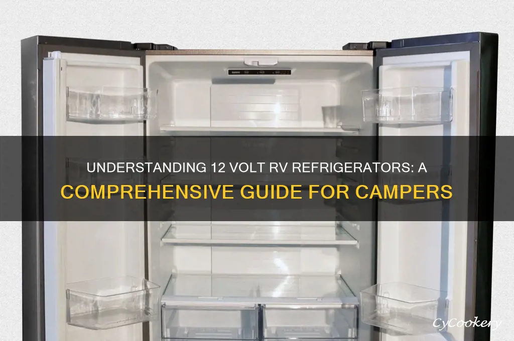 what is a 12 volt rv refrigerator