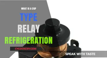Understanding 2SP Type Relay Refrigeration: Functions and Applications Explained