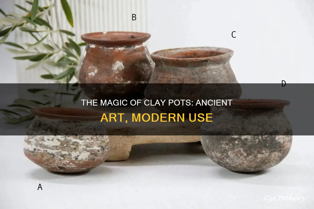 what is a clay pot