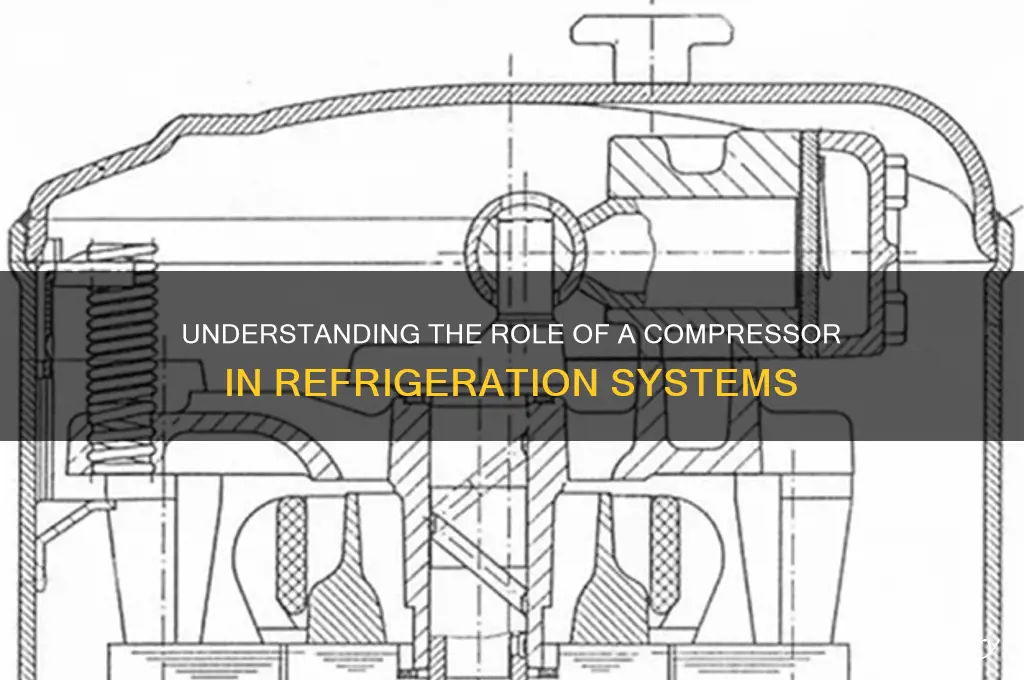 what is a compressor in a refrigerator
