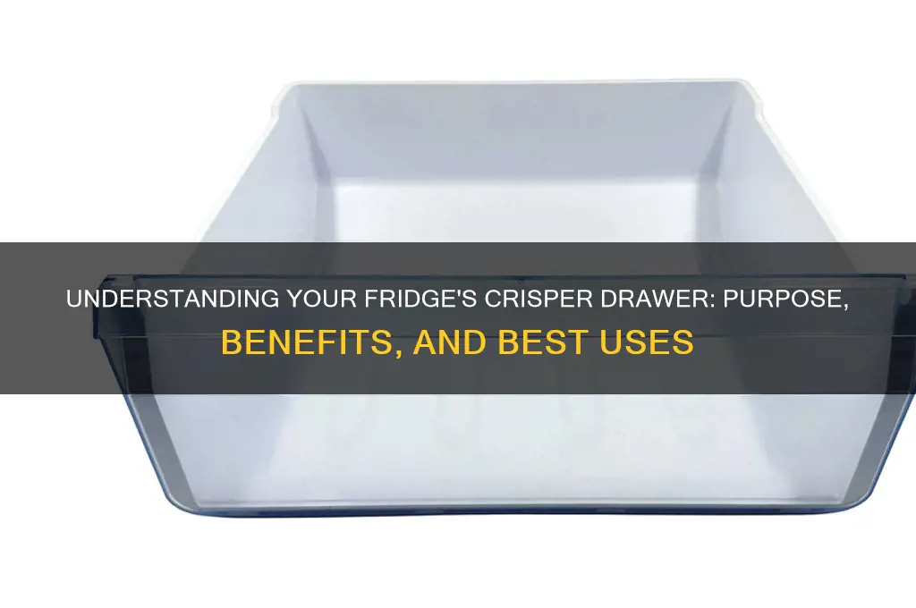 what is a crisper in a refrigerator