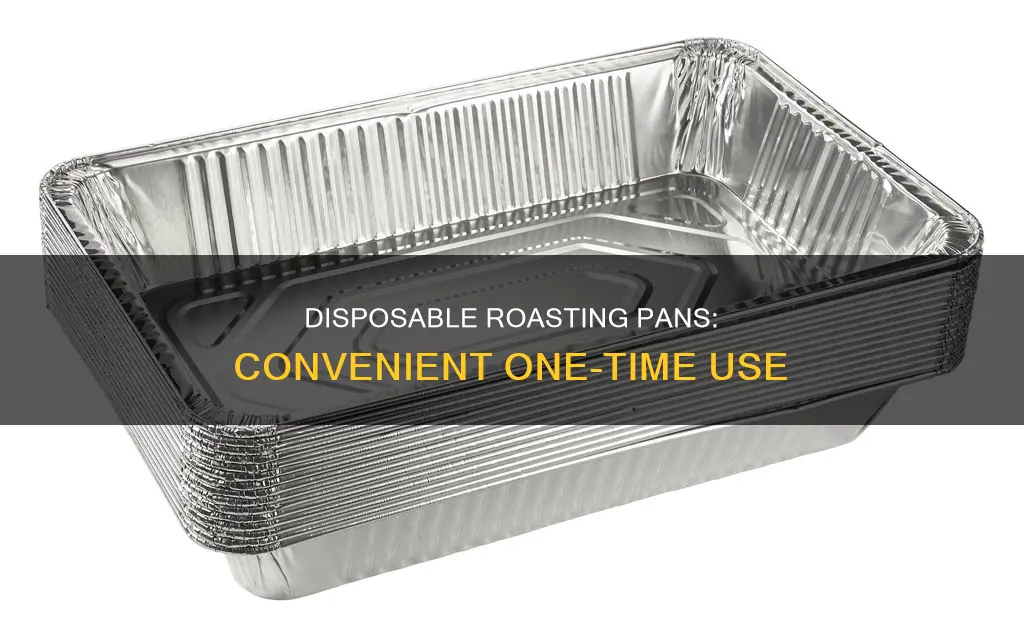 what is a disposable roasting pan