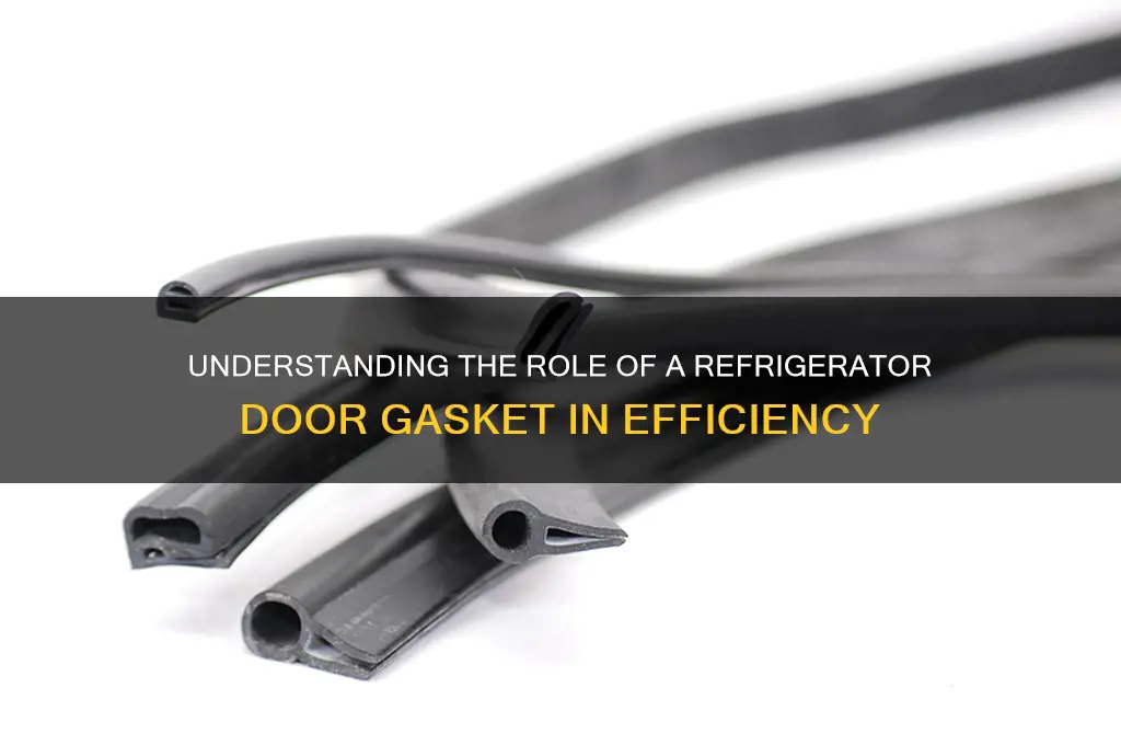 what is a door gasket on a refrigerator