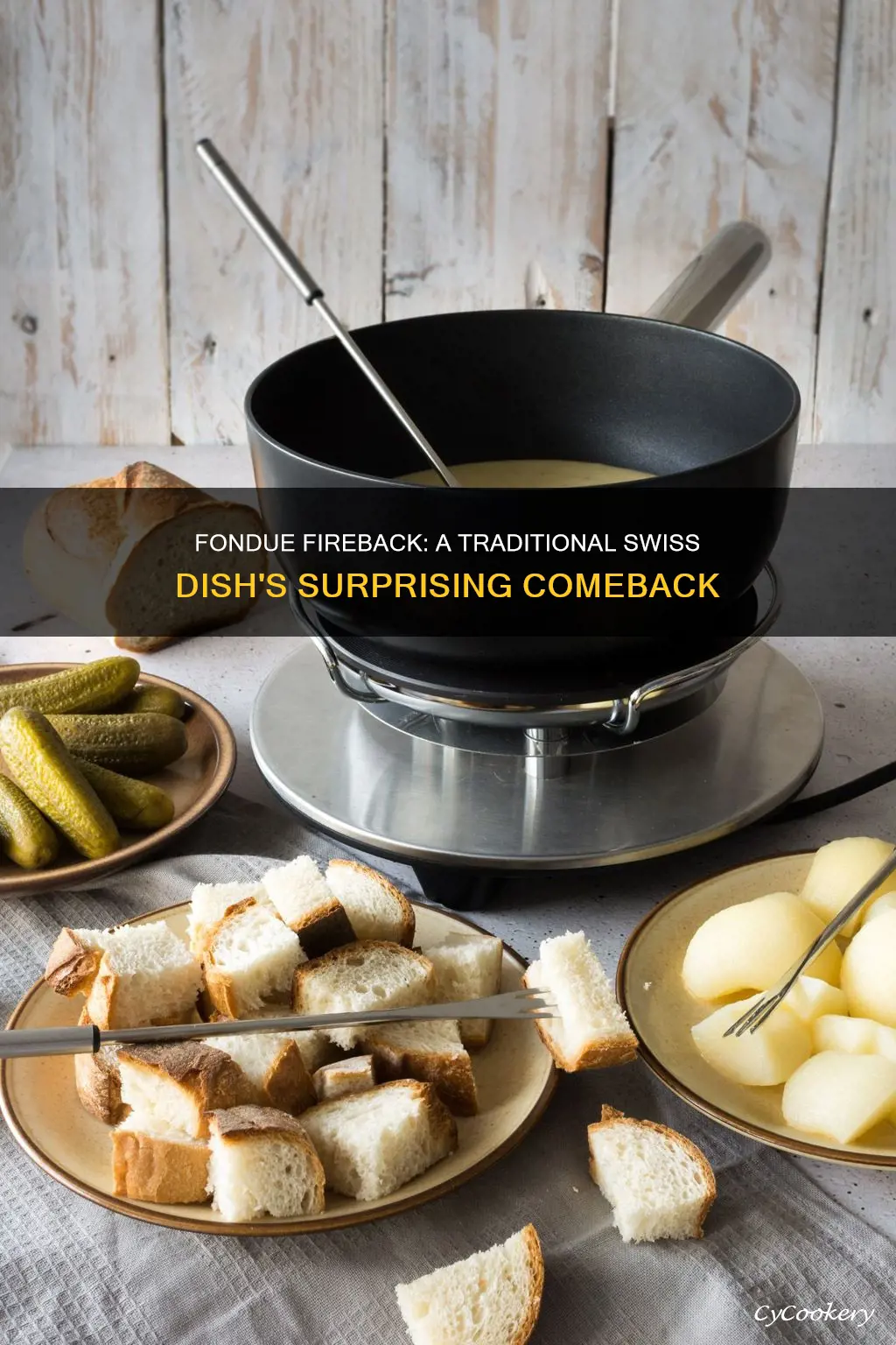 what is a fondu fireback