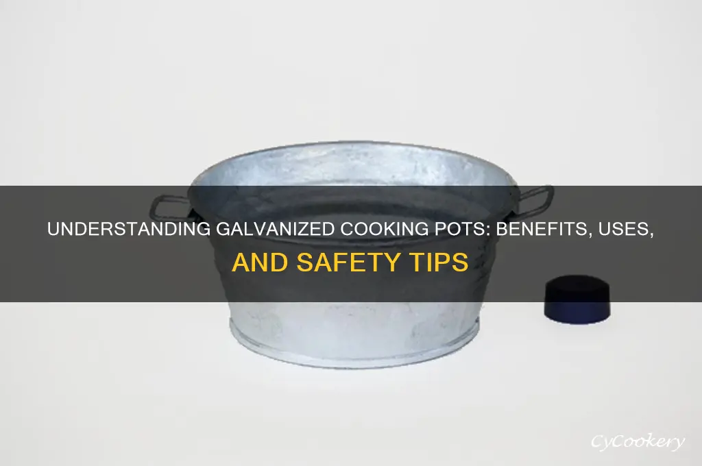 what is a galvanized cooking pot