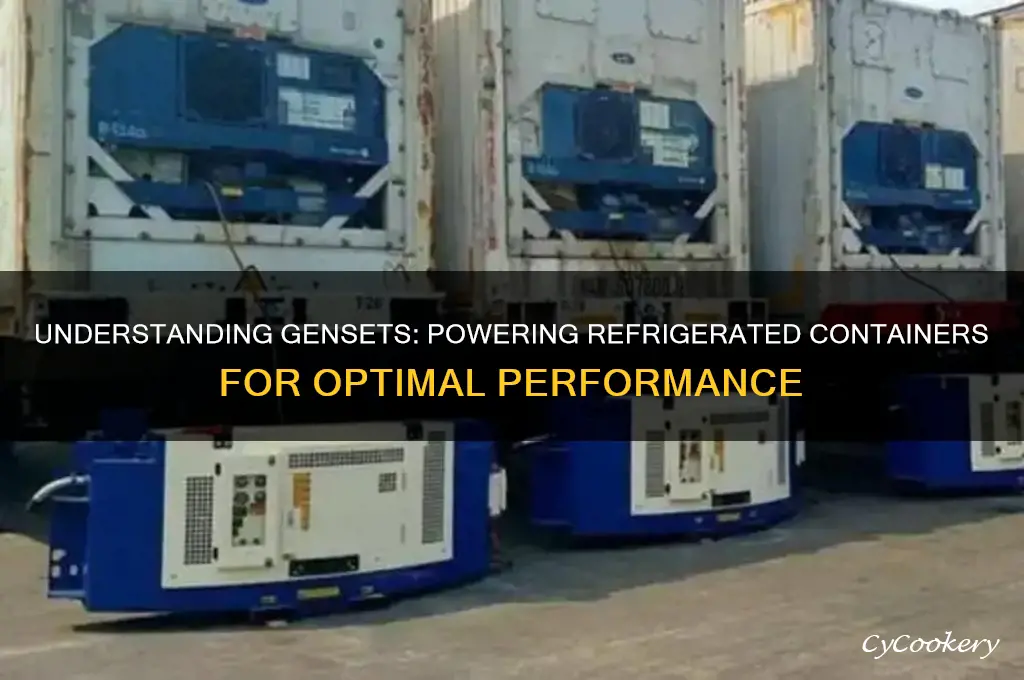 what is a genset for refrigerated containers
