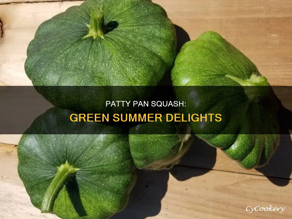 what is a green patty pan squash