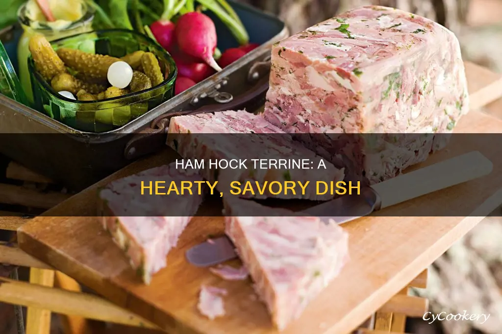 what is a ham hock terrine