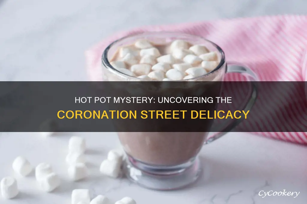 what is a hot pot on coronation street