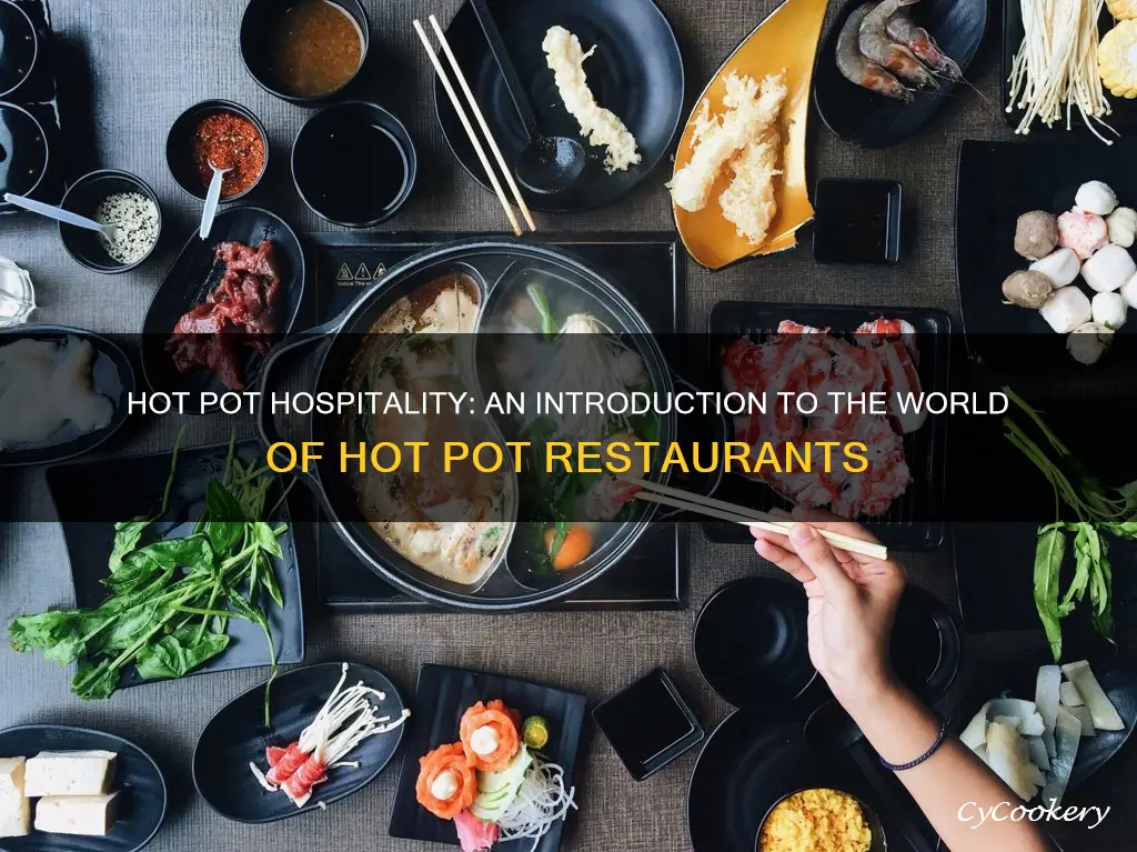 what is a hot pot resturant