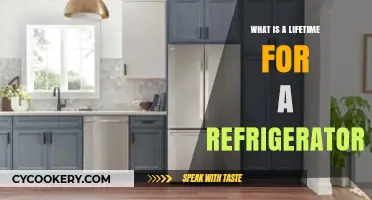 Understanding the Average Lifespan of Your Refrigerator: A Comprehensive Guide