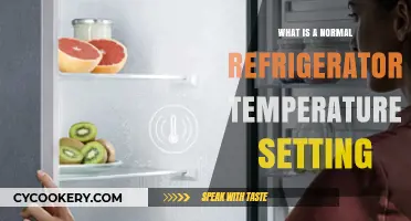 Optimal Refrigerator Temperature: What’s Normal for Fresh Food Storage?