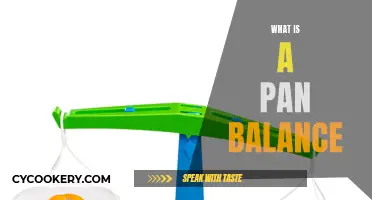 The Basics of Pan Balances: Weighing with Precision