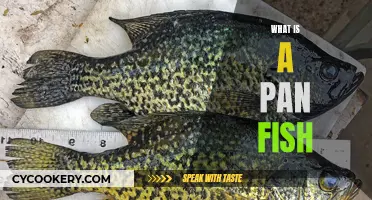 Panfish: Small Fry with Big Potential