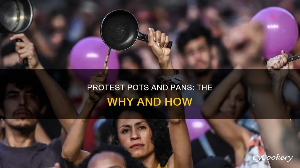 what is a pan protestor pots and pans