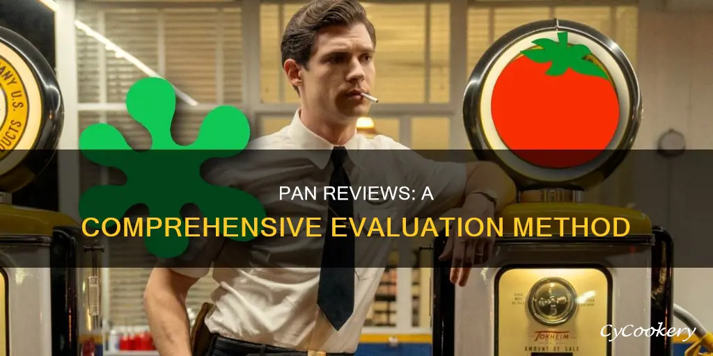 what is a pan review