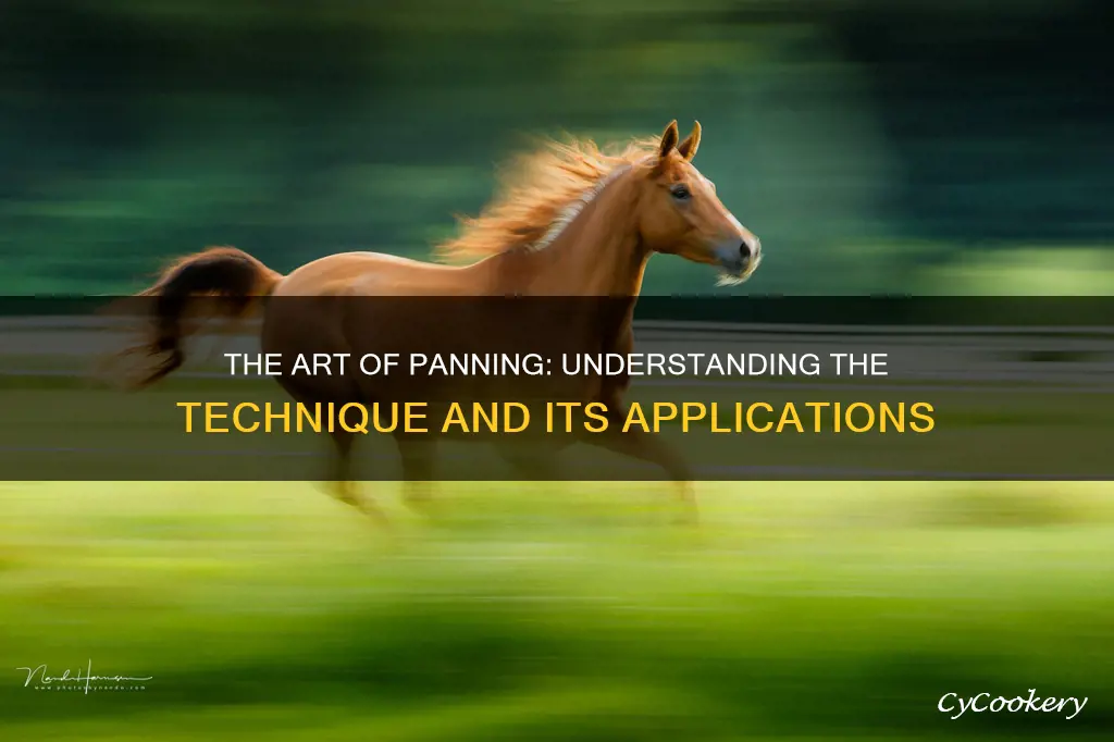 what is a panning