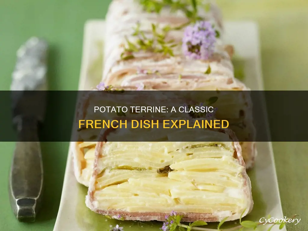 what is a potato terrine