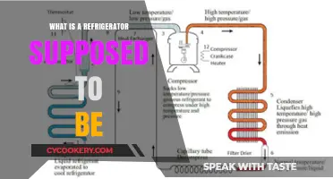 Understanding the Purpose and Function of a Modern Refrigerator