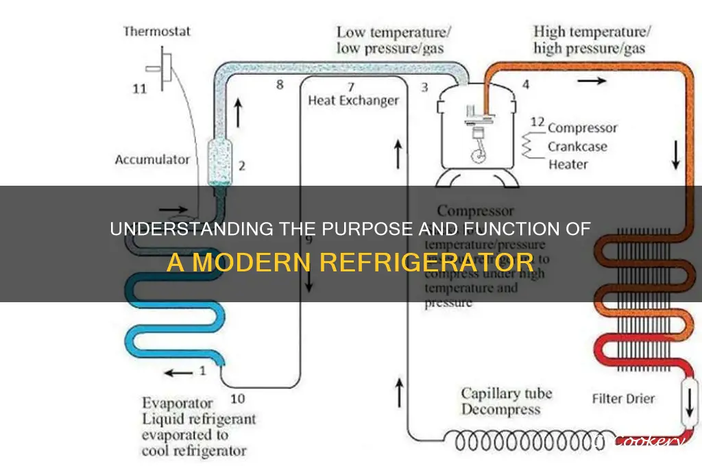 what is a refrigerator supposed to be