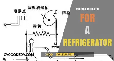 Understanding Refrigerator Regulators: Essential Components for Optimal Cooling Performance