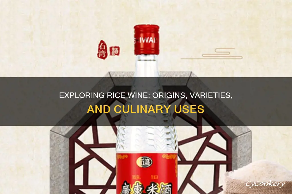 what is a rice wine