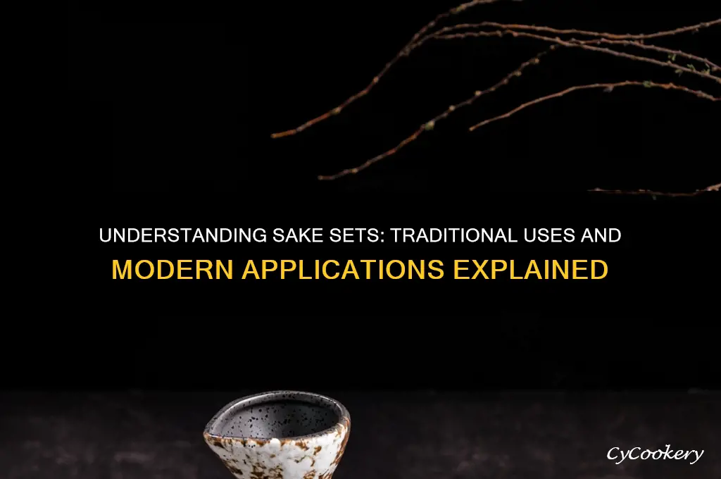 what is a sake set used for