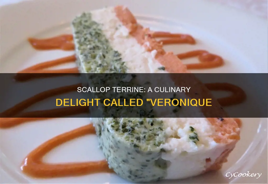 what is a scallop terrine called