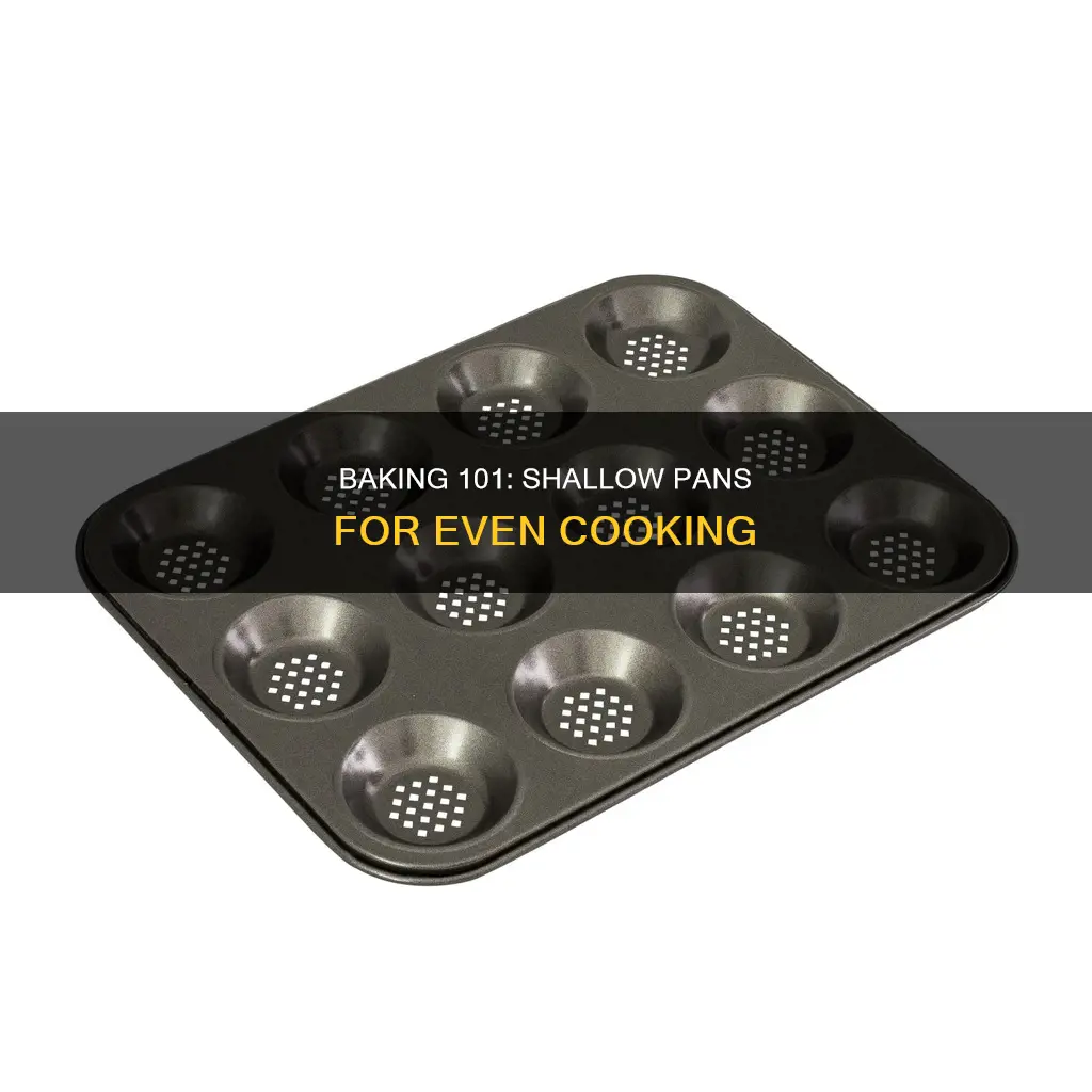 what is a shallow baking pan