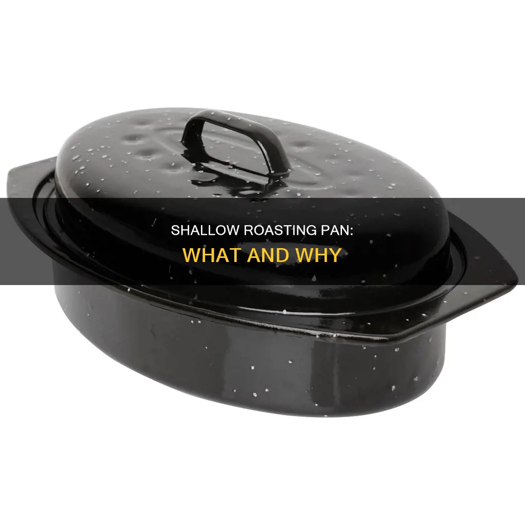 what is a shallow roasting pan