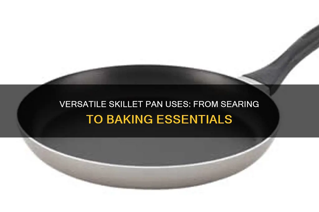 what is a skillet pan used for