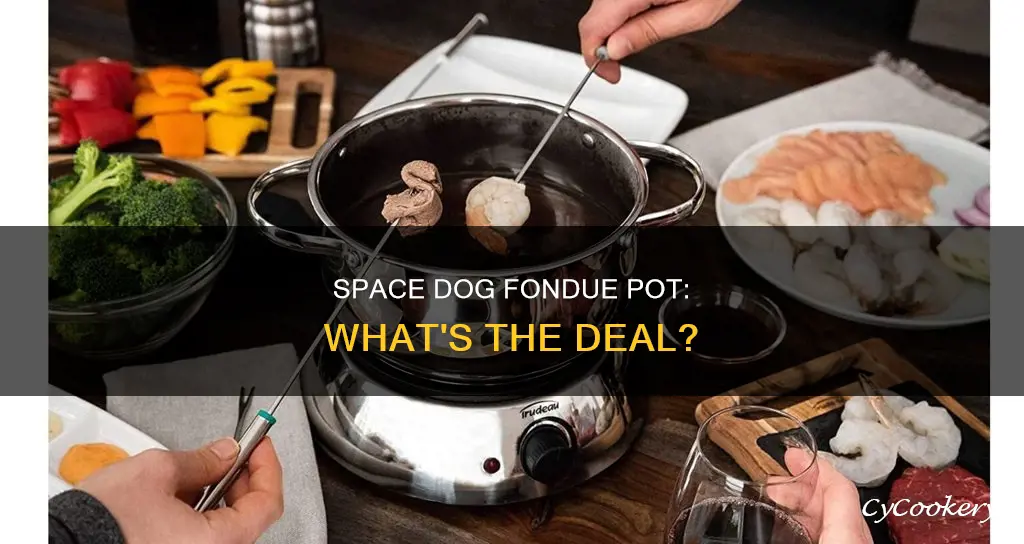 what is a space dog fondue pot