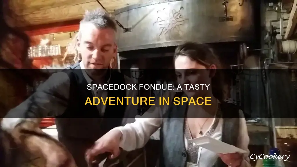 what is a spacedock fondue