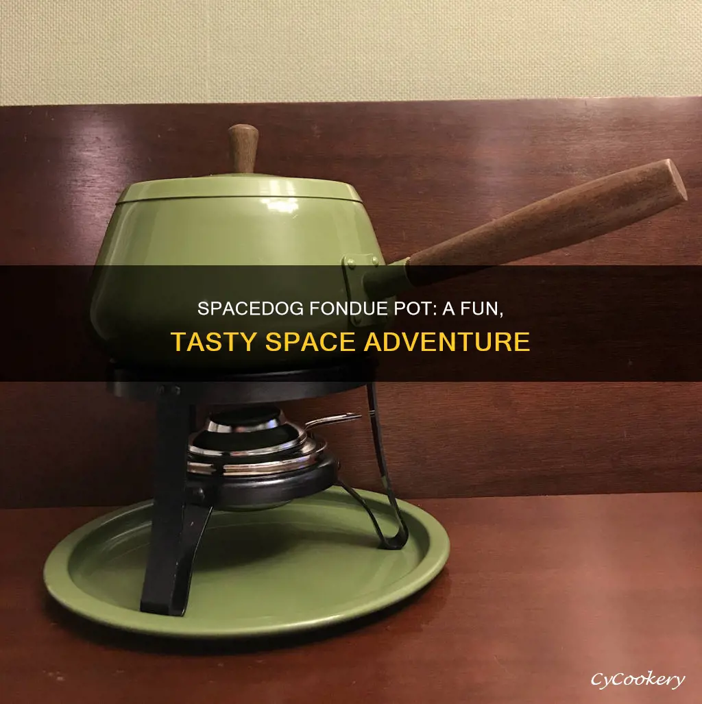 what is a spacedog fondue pot