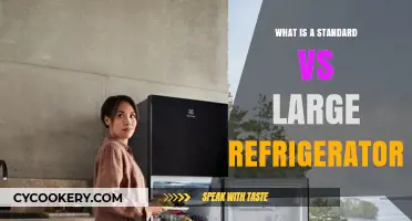Standard vs Large Refrigerators: Choosing the Right Size for Your Kitchen