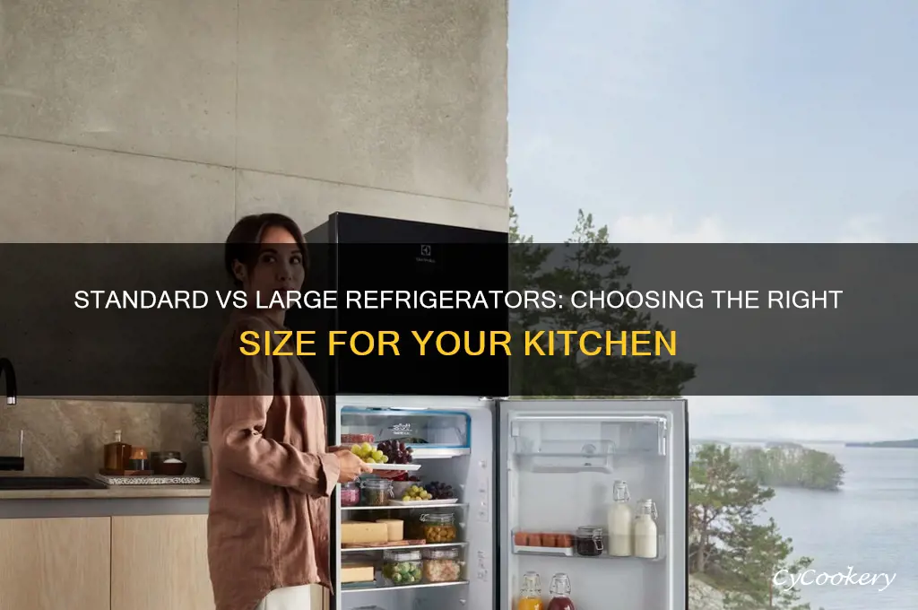 what is a standard vs large refrigerator