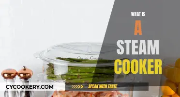 Steam Cooker: Revolutionizing Cooking with Steam Power